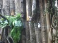 IMGP0862.JPG